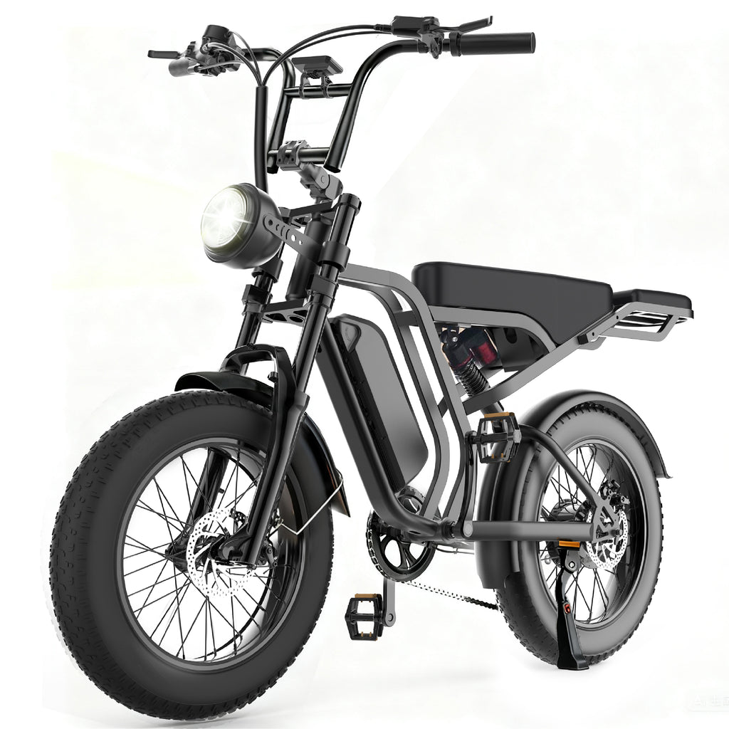 PASLDA 1500W Peak Power All-Terrain Electric Bike with 48V 15.6AH Removable Battery, 7-Speed Shifting, Fat Tire Off-Road Electric Moped, LCD Smart Display, Fast Charging, and BMS Battery Protection.