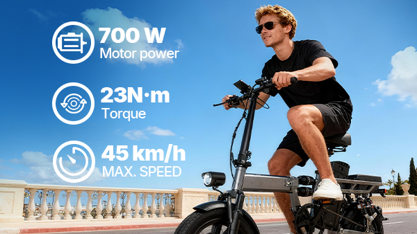 PASLDA Folding Electric Bike for Adults 48V 15Ah Battery 14"/20" Wheels 500W Motor 20MPH Speed 30 Miles Range Multi-Shock Absorption Compact Commuter E-Bike