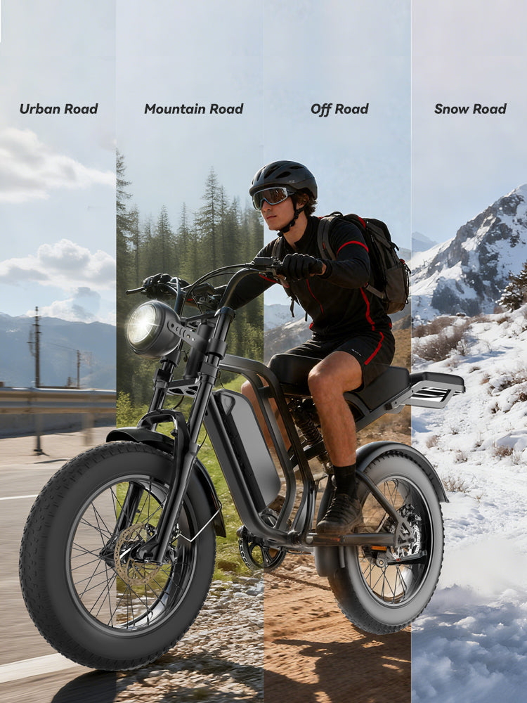 PASLDA 1500W Peak Power All-Terrain Electric Bike with 48V 15.6AH Removable Battery, 7-Speed Shifting, Fat Tire Off-Road Electric Moped, LCD Smart Display, Fast Charging, and BMS Battery Protection.